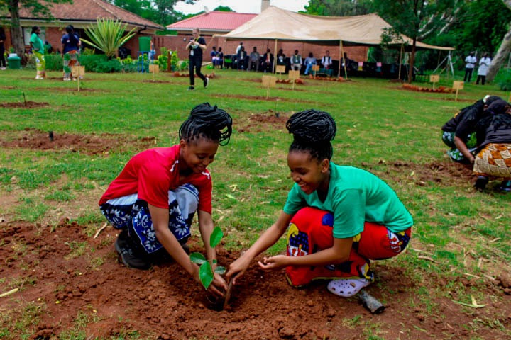 Kamuzu Academy Annual Tree Planting exercise 2025 - Image 5